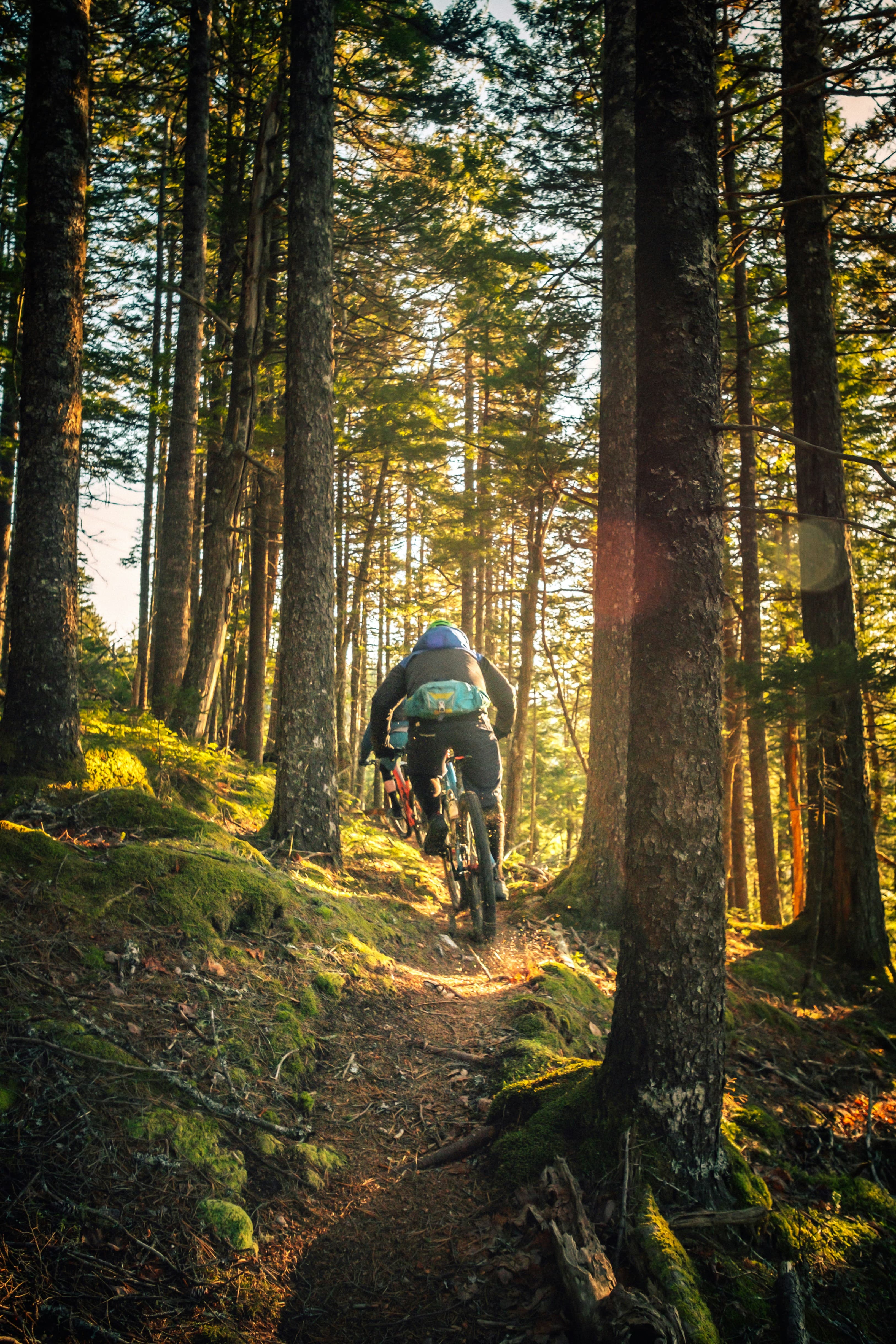 Un ciclista in mountain bike su un sentiero nel bosco, illuminato dal sole tra gli alberi.