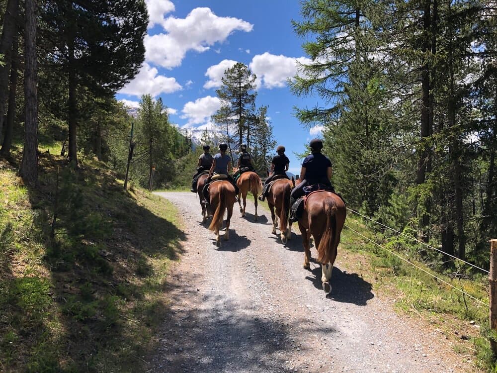 Un gruppo a cavallo percorre un sentiero nel bosco, tra larici e montagne sotto il cielo azzurro.