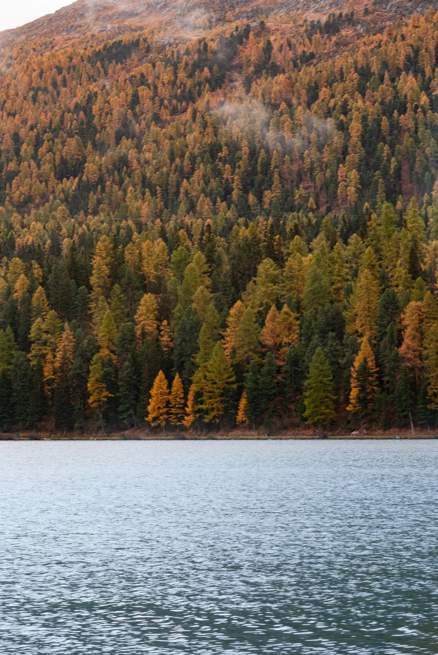 Un bosco dai colori autunnali sulla riva di un lago